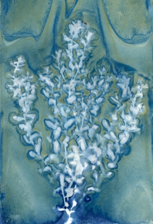 Wet Cyanotype with Acids on Watercolor Paper, 2018