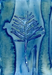 Wet Cyanotype with Acids on Watercolor Paper, 2018